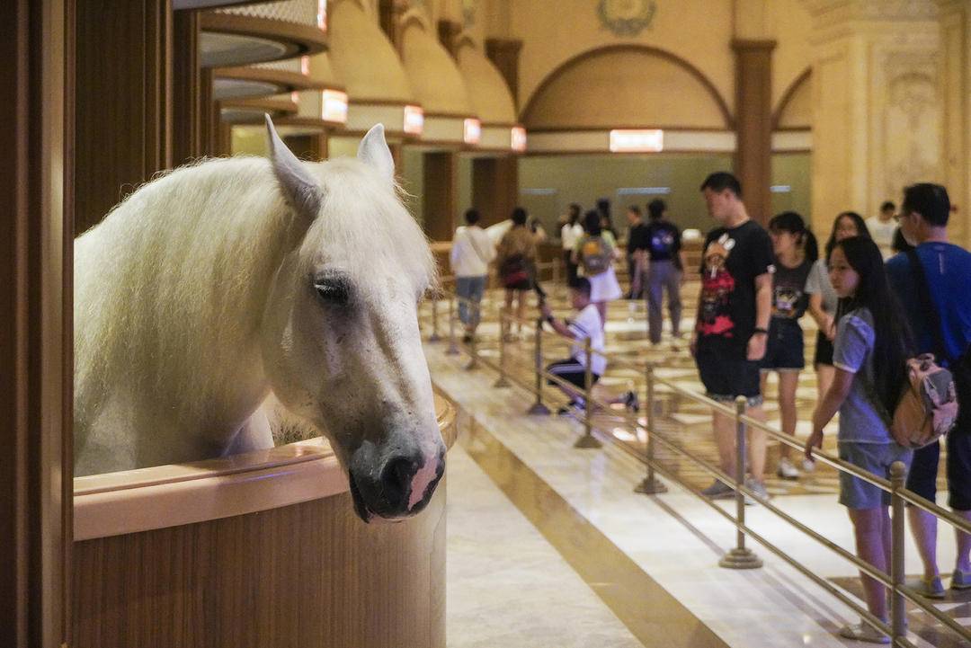 国家体育示范基地名单,国家级体育旅游示范基地名单