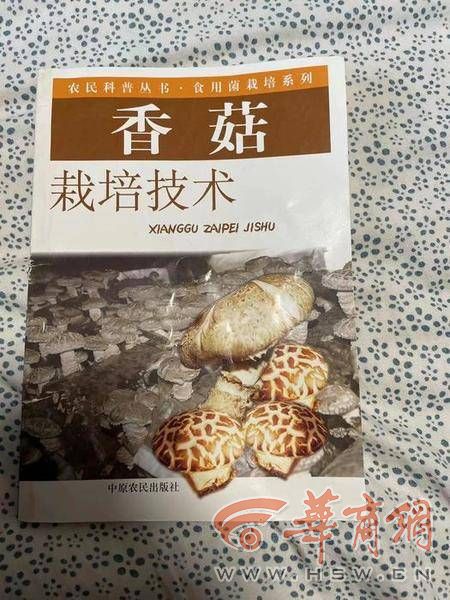 女性书籍当当网,女子当当网买到版书