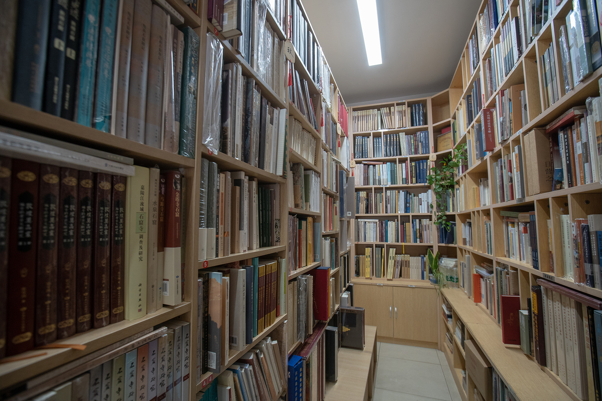 10年了，这家“冷门”考古书店为什么能活下来