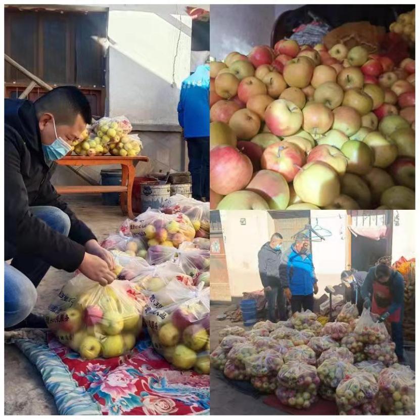 凉州：苹果滞销陷困境帮扶干部变身“促销员”解“卖难”