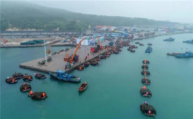 威海蓝碳科技,威海南海蓝碳