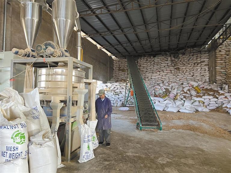 洛南有文玩小核桃吗,深山小核桃富民大产业