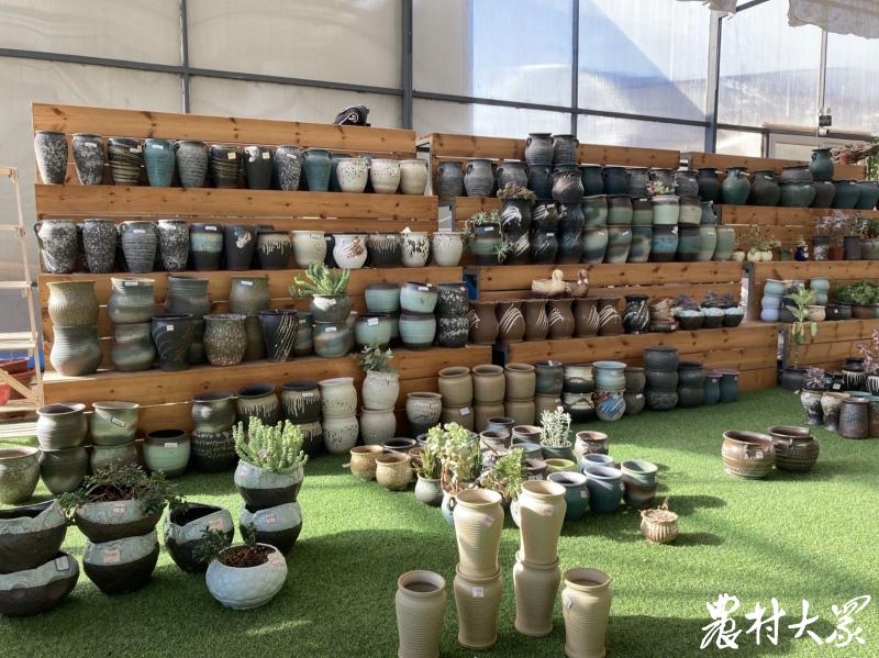 场景式展示+艺术化表达,6名大学生返乡创业打造乡村园艺馆