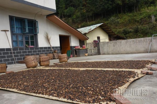 江西脱贫致富,拔穷根扶贫求精准