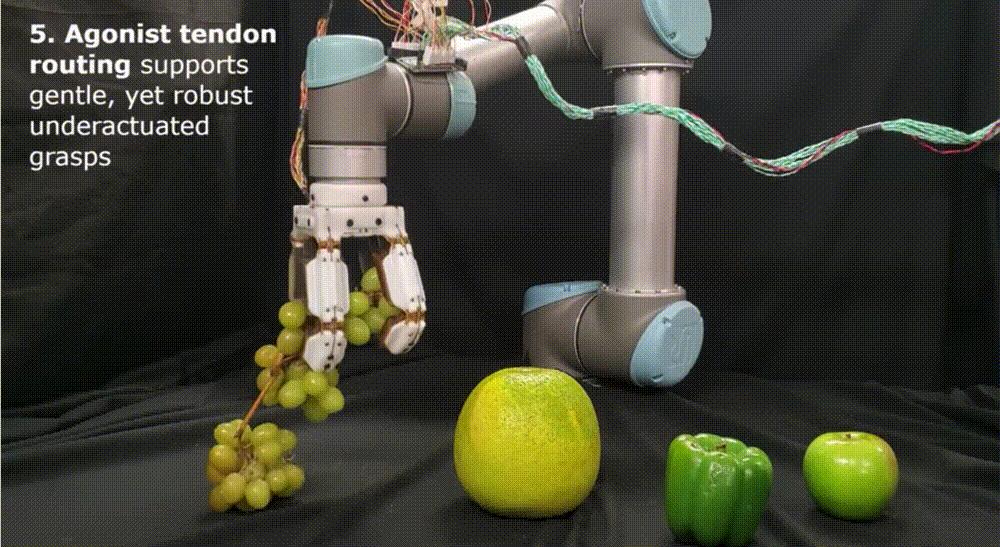 斯坦福机器人进化,斯坦福机器人跳跃