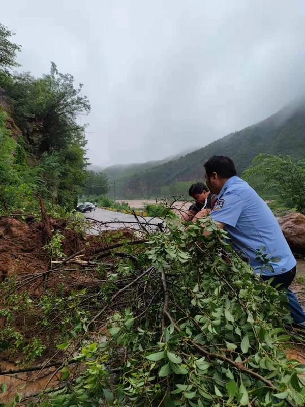 最新河南政法工作会议,河南政法大局最新消息