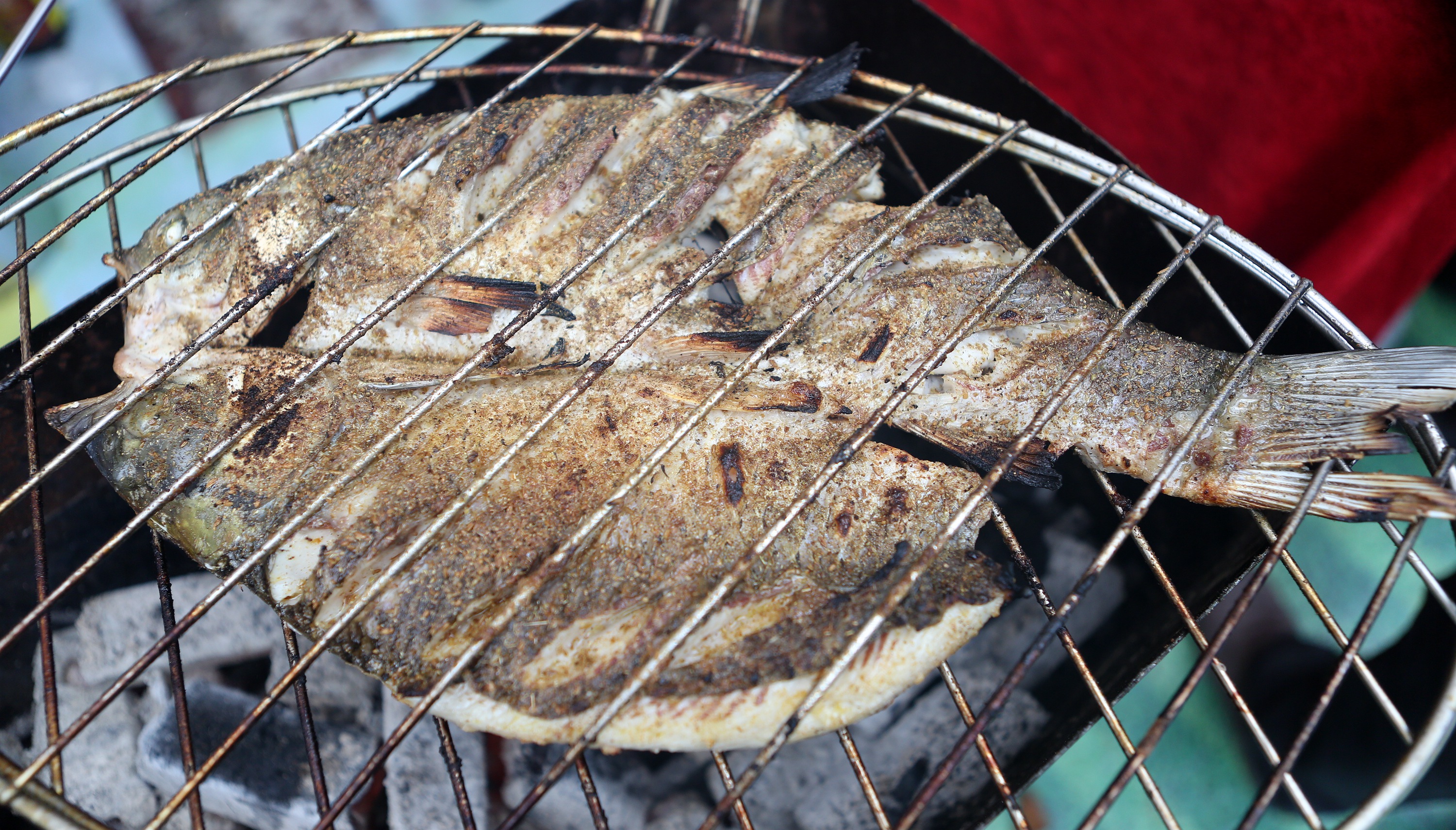 巫山烤鱼的历史,从远古走来完整版