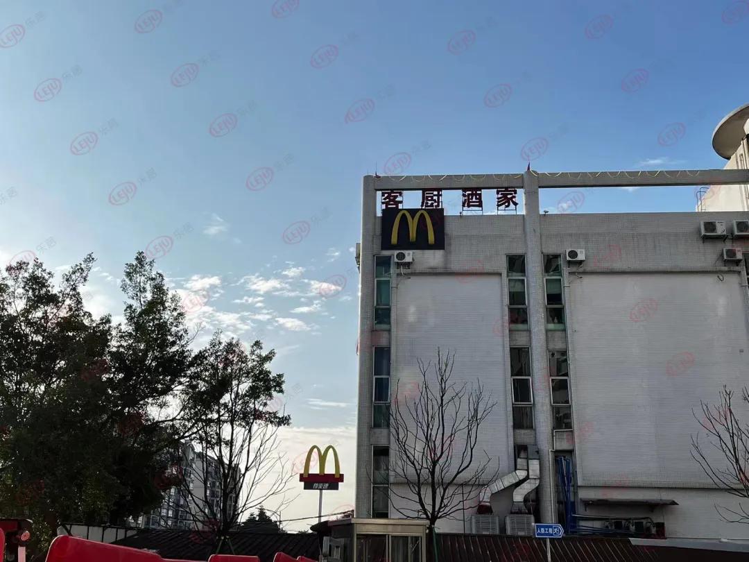 地产大ip,地产ip究竟如何打造