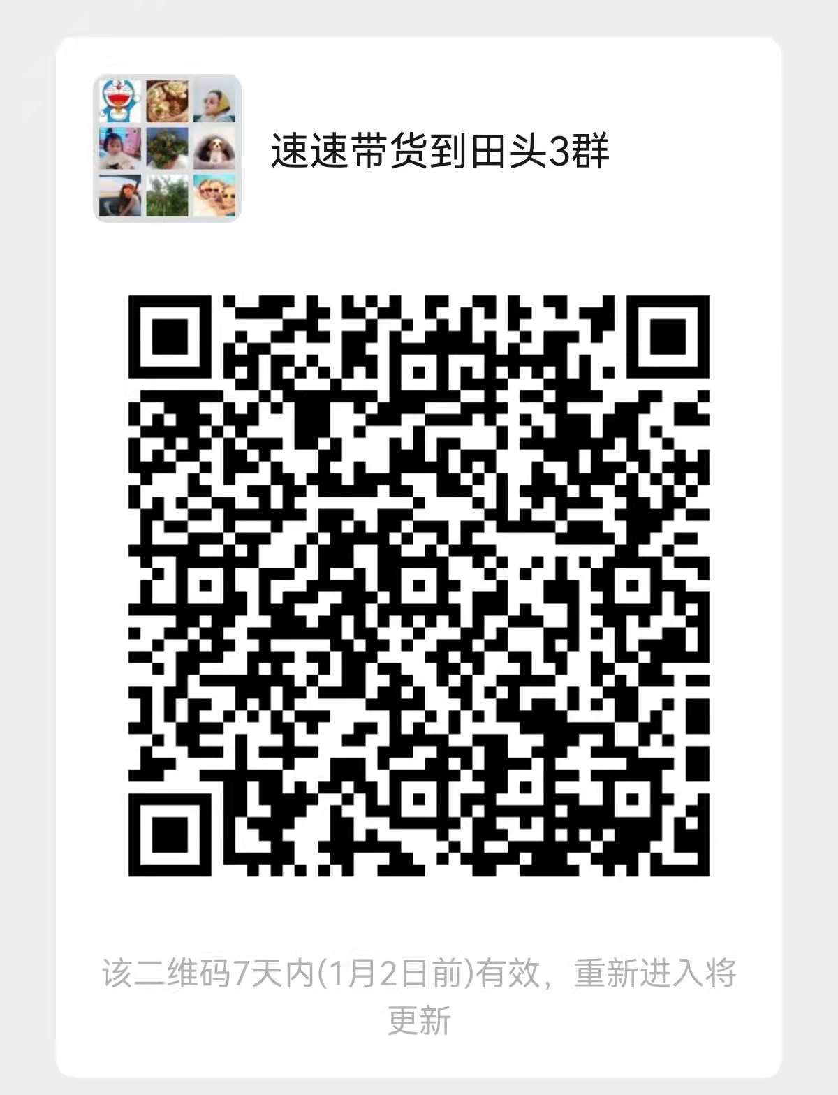 后续丨蝴蝶兰“翩翩而来”！老板说，这次团购只为献爱心