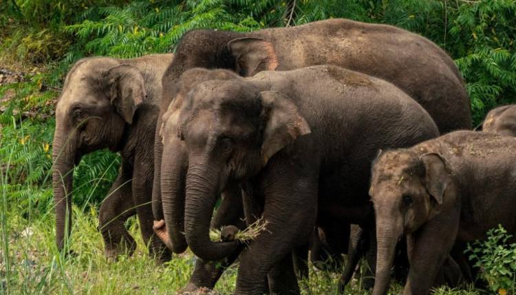 2021十大地球BUG，每一个都细思极恐