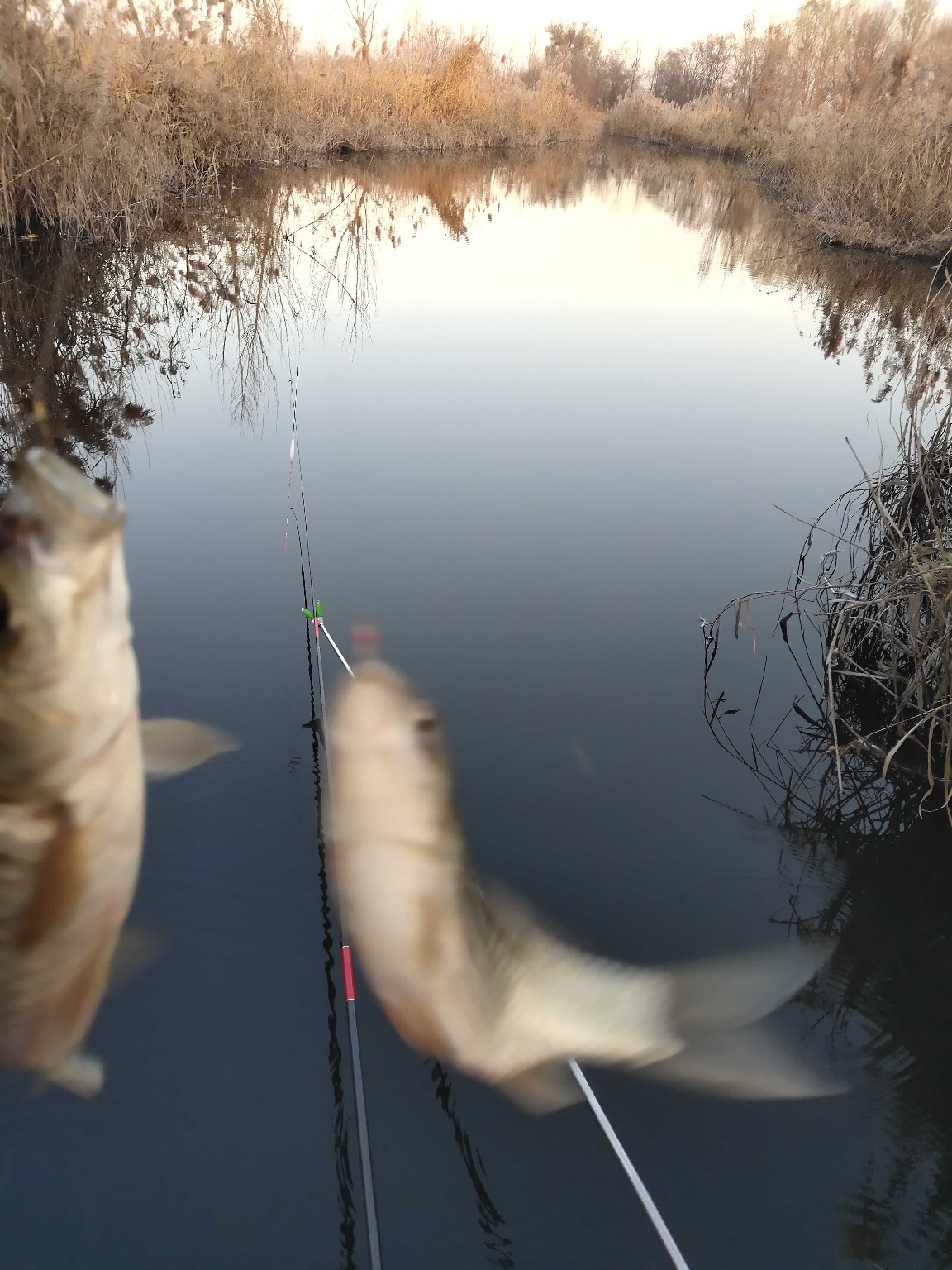 邓刚大师讲解调漂,新手立漂调漂的正确方法和技巧