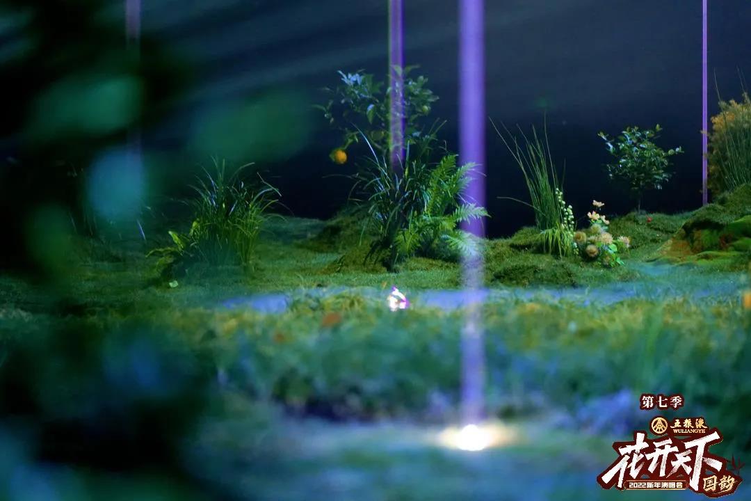 四川卫视花开天下国韵演唱会开场,四川卫视花开天下2020国韵演唱会