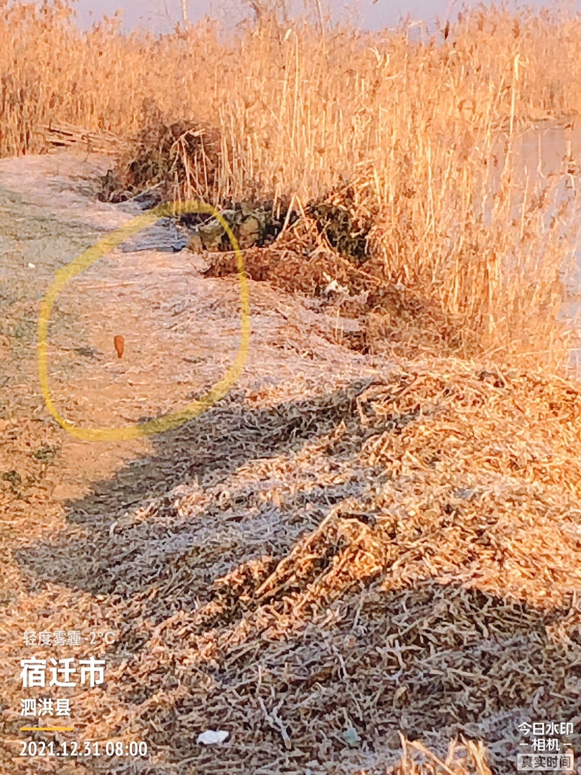 冰钓沉浸式体验,第一次体验冰钓视频