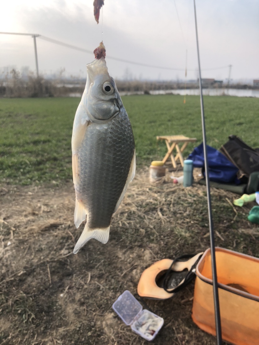冰钓沉浸式体验,第一次体验冰钓视频