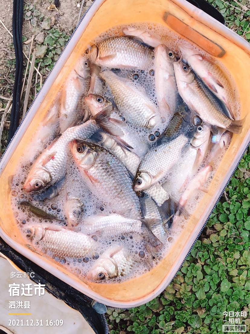 冰钓沉浸式体验,第一次体验冰钓视频