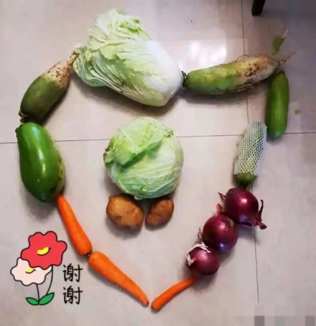 官方回应“西安市民就医难、吃菜难，一码通崩了”等热点问题