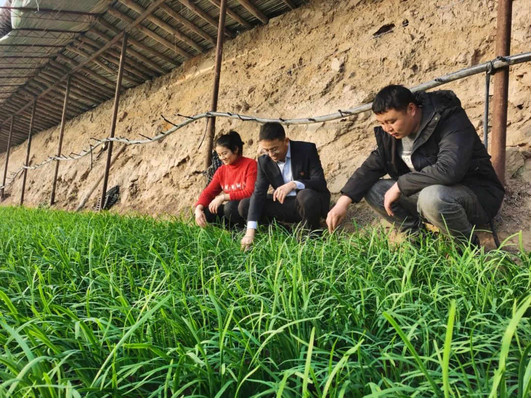 为妇女群众办实事,乡村振兴创业担保贷款帮扶政策