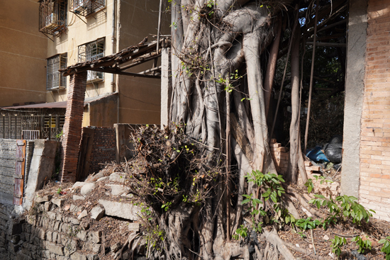 泉州最值得去的古巷,泉州景区十大美食街