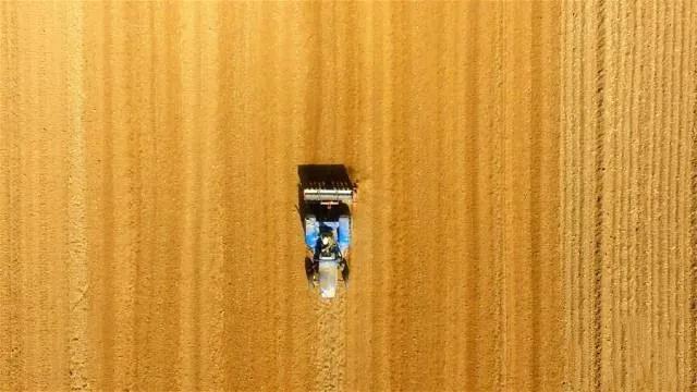 山东人很喜欢吃面食,山东人过年的馒头有多大