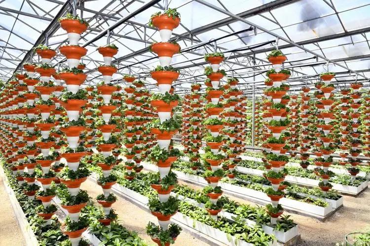 财政金融如何助推农业高质量发展,统筹推进农业农村工作高质量发展