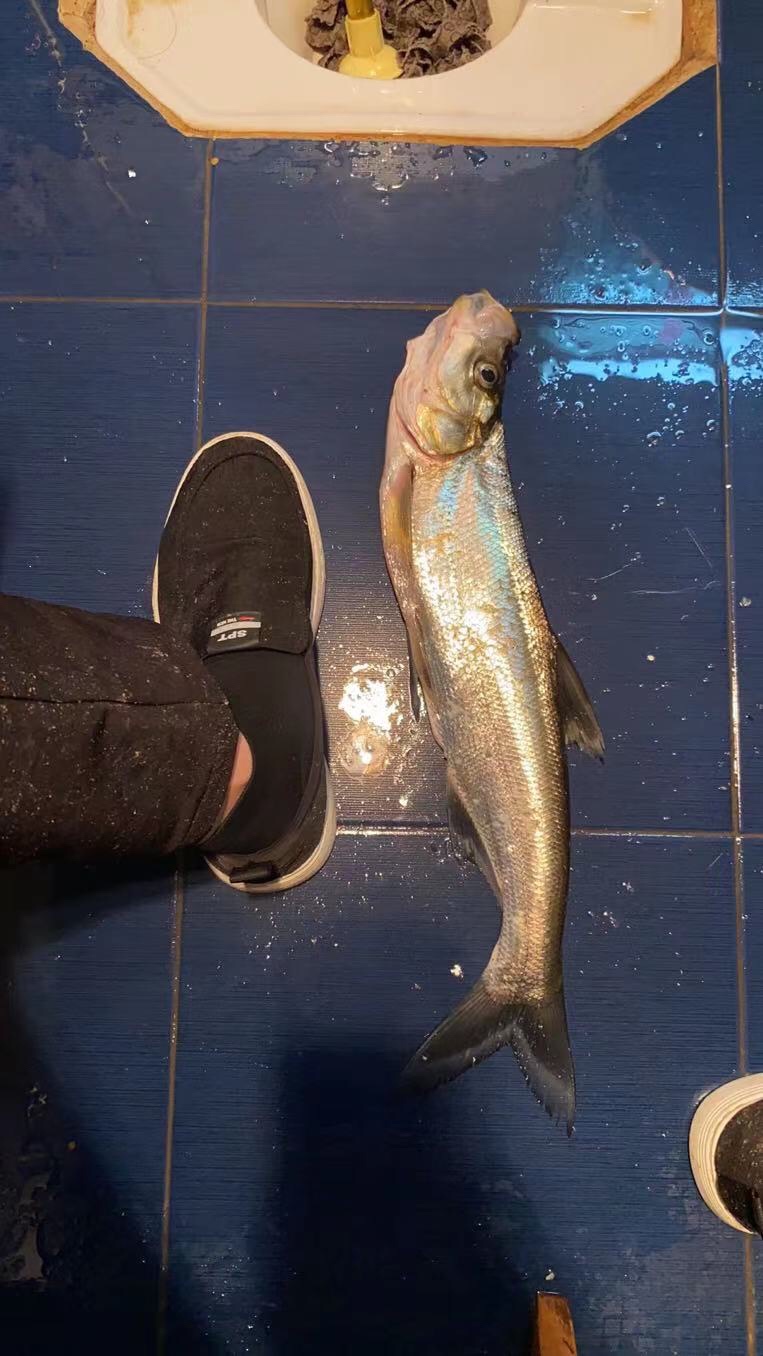 2021打龟爆护同在，未来渔你同行