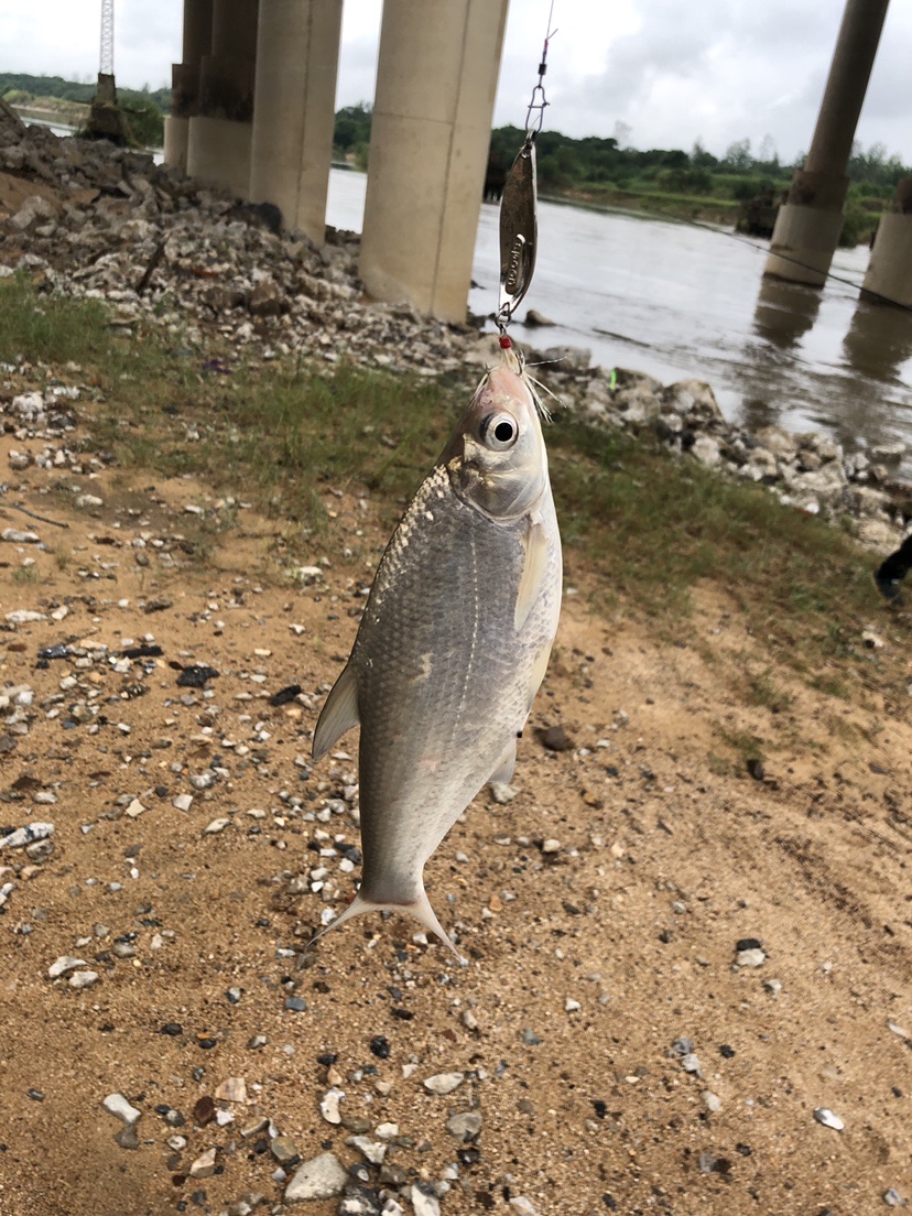 2021打龟爆护同在，未来渔你同行