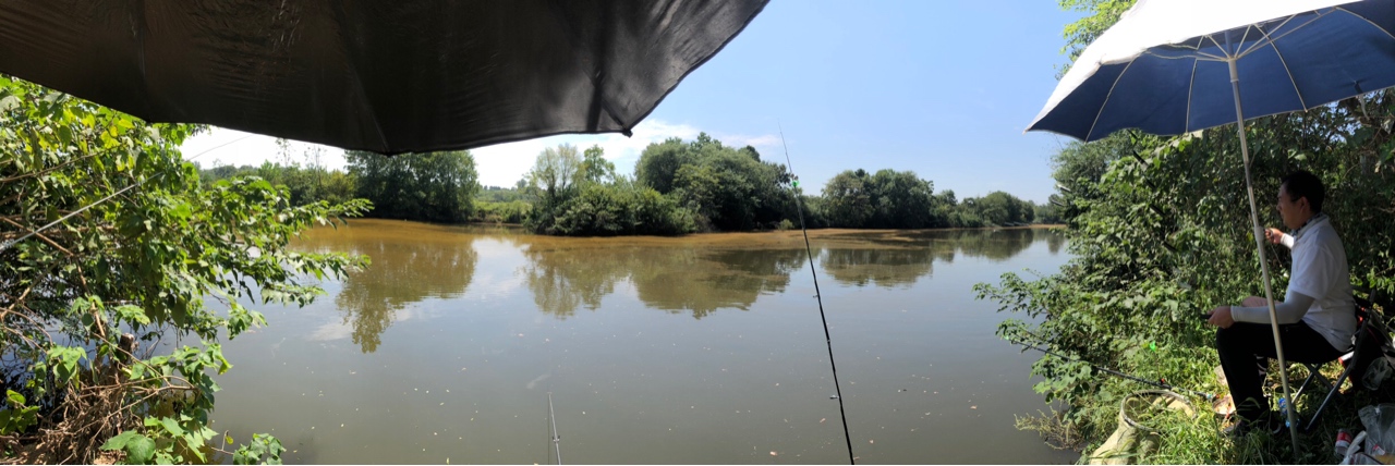 2021打龟爆护同在，未来渔你同行