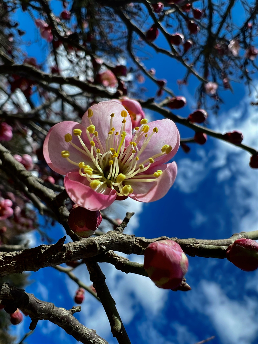 零下2°C的丽江，一个字，绝