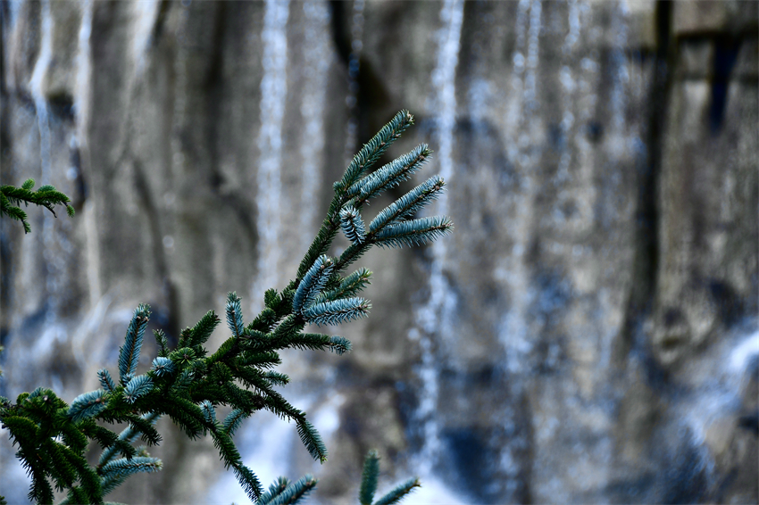 零下2°C的丽江，一个字，绝