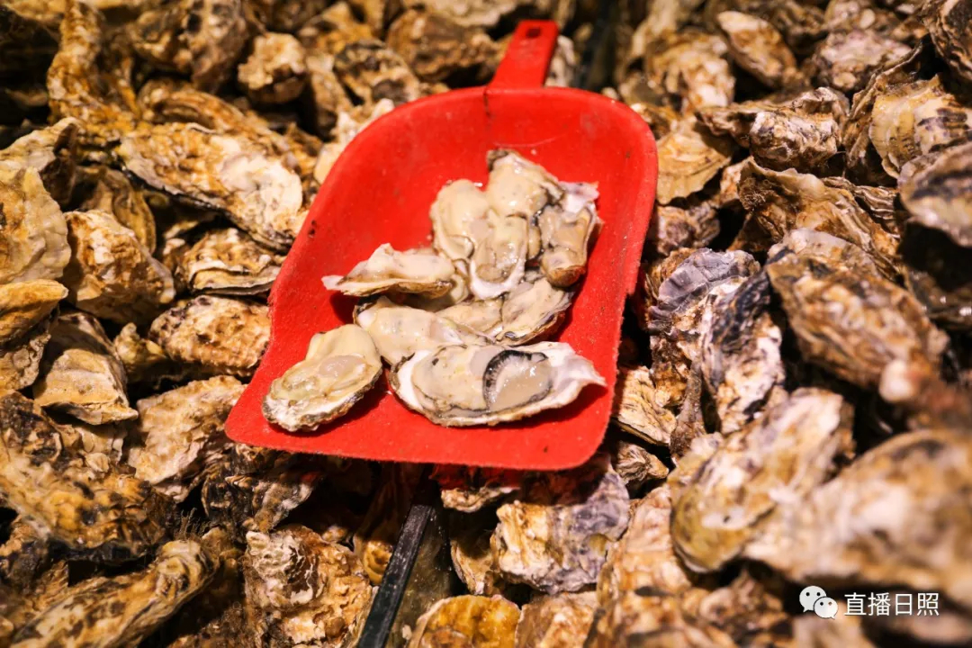 日照当季海鲜价格,今年春节海鲜多少钱一斤