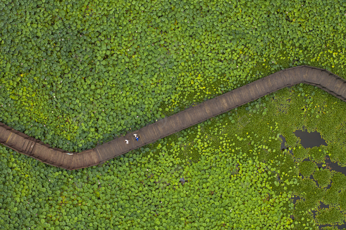 滨州滨城区摄影师,滨州摄影师事迹介绍