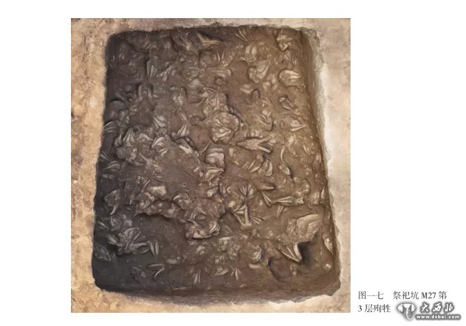 甘肃马家塬遗址简介,甘肃马家塬古墓出土文物