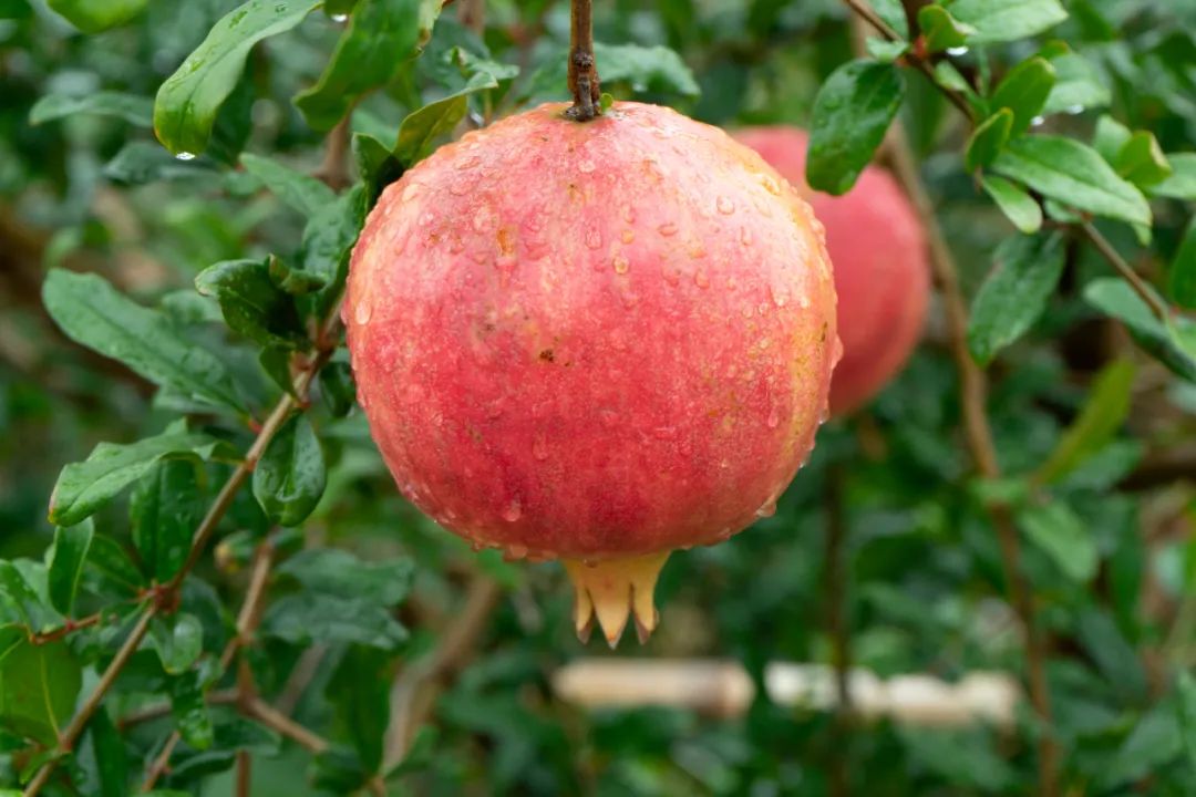 2019年经济发展总结,经济社会发展最新消息