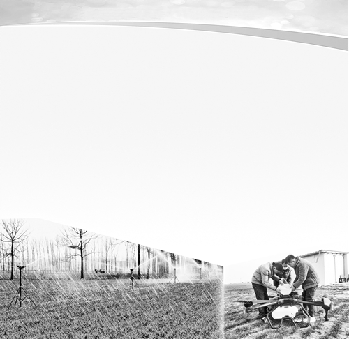 我市科技下乡助力春耕生产