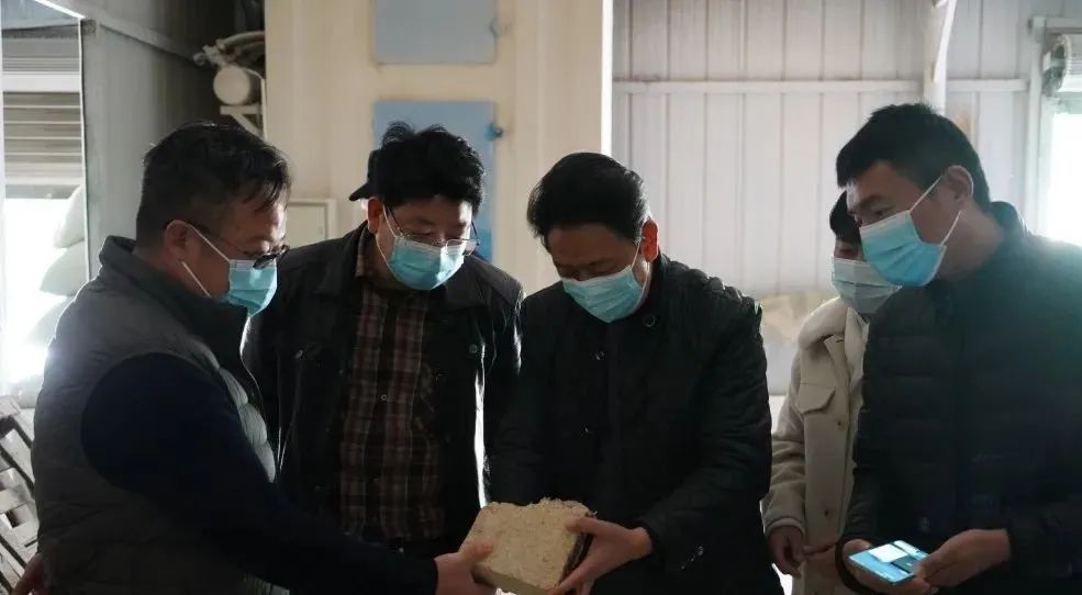 喜迎二十大书法简介,喜迎二十大书法国展