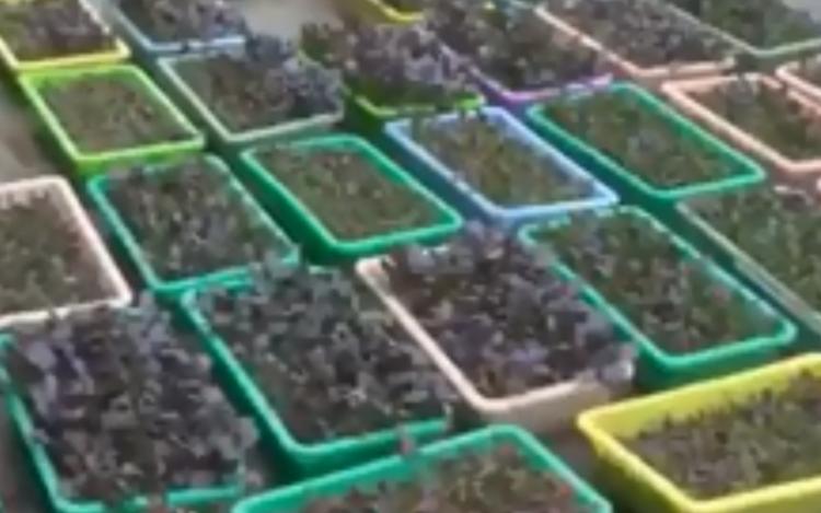 新农人努力拼搏的样子,新农人唤醒乡村新活力