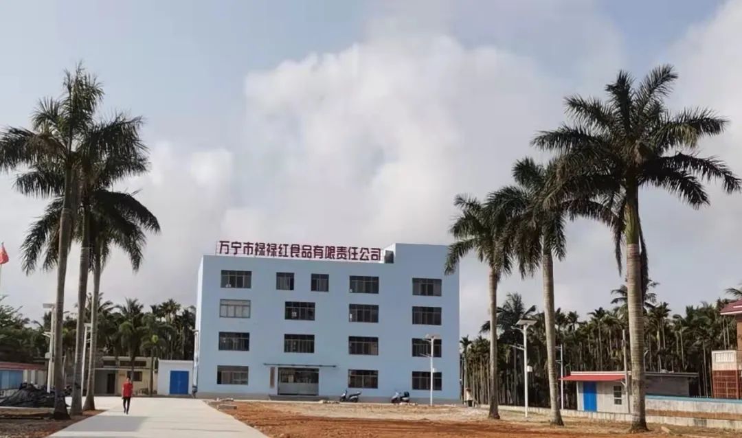 打造村级特色产业集群,因地制宜实现乡村产业兴旺