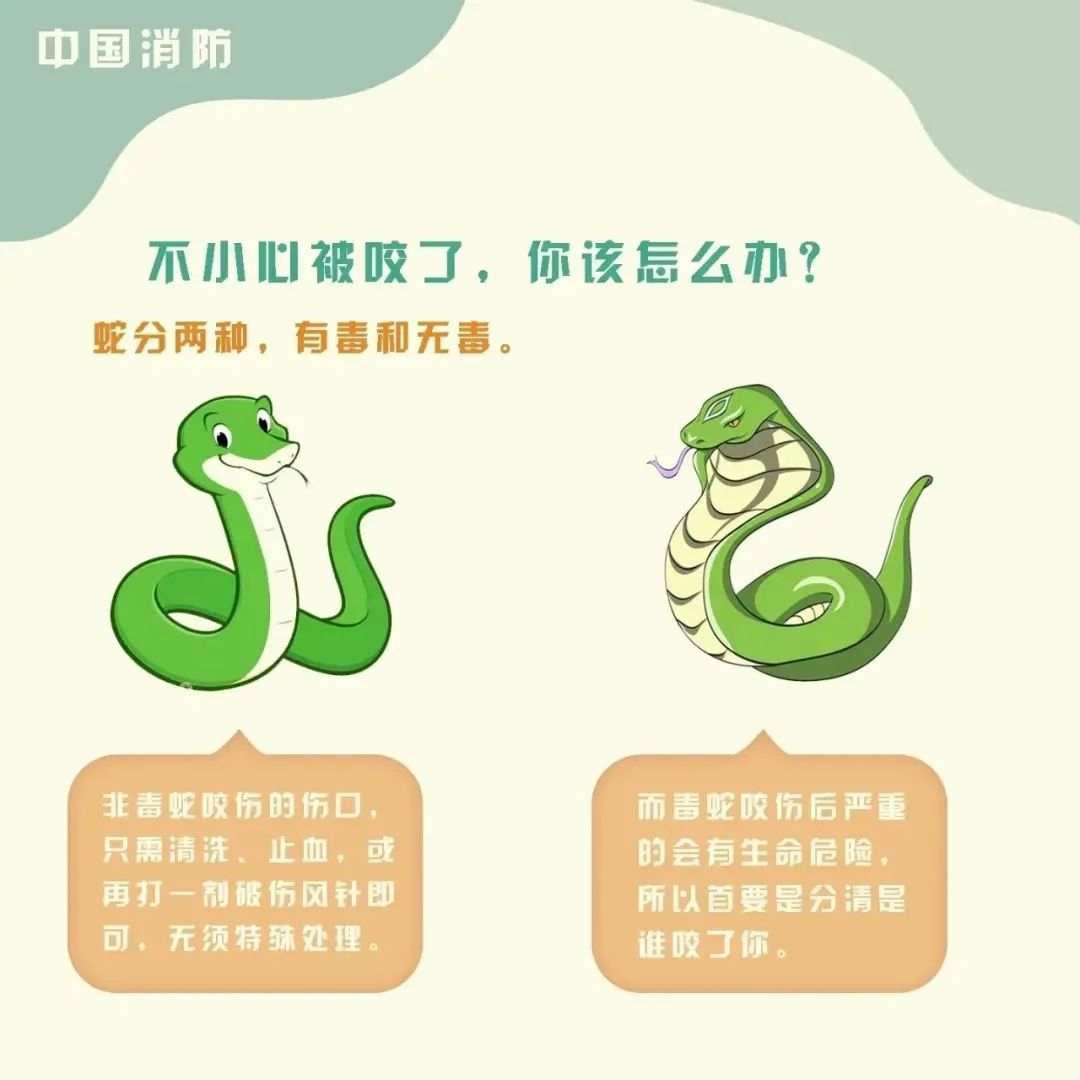 广东天气热怎样预防蛇出没,天气炎热蛇怎么处理