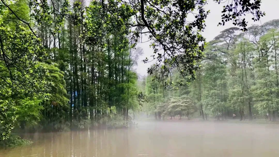 南方人回南天在玻璃上写字的“快乐”，北方人永远不懂……