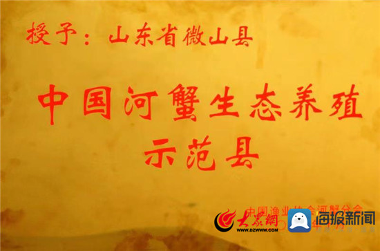 微山湖生态渔业强村富民,生态养殖助推渔业高效发展