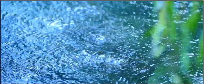 万壑争流，珠玑升腾千百年来，济南这个泉始终静泊着清幽的向往