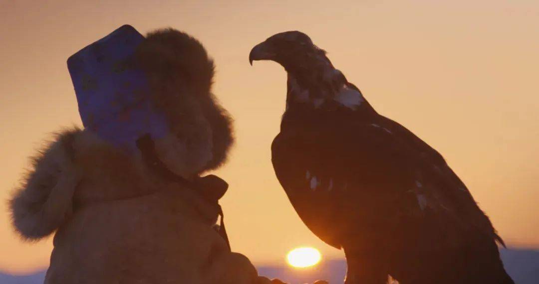 中国人独有的浪漫纪录片,中国人特有的浪漫纪录片