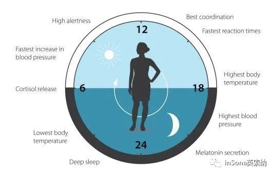 inSona健康课堂：昼夜节律与健康照明的奥秘（上）