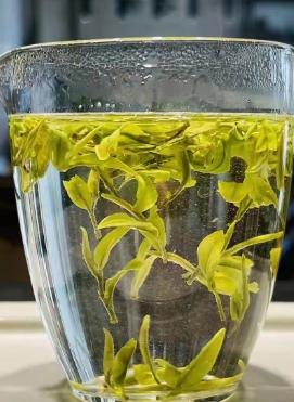 鍒涙柊璧嬭兘鏂囧寲璧嬭兘,宕傚北鑼跺彾鏂囨梾缁撳悎