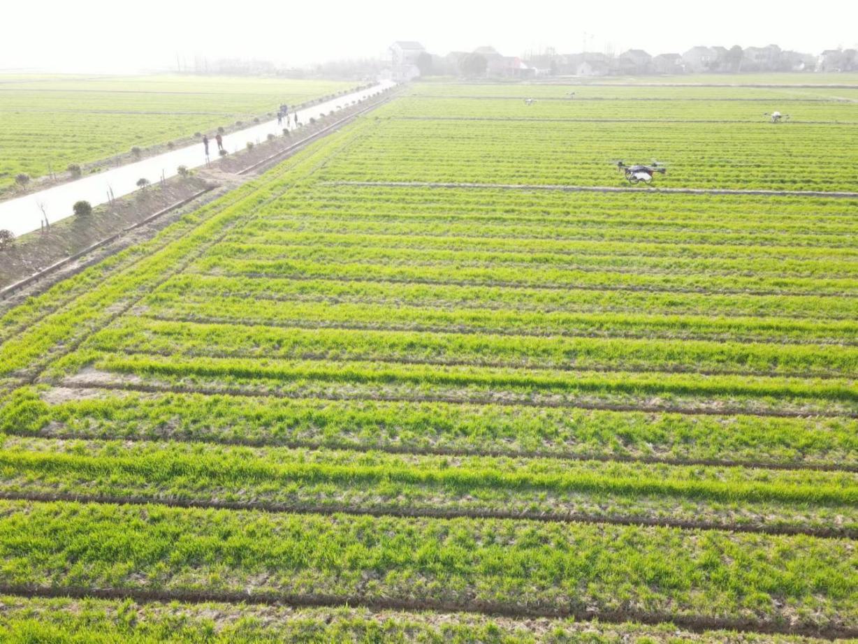 代耕代种代收代管全程托管,代耕代管