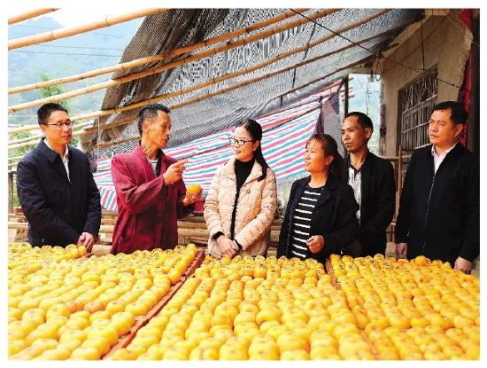 宸ヤ笟寮洪晣缁忔祹鍙戝睍,宸ヤ笟鍙戝睍寮哄姴