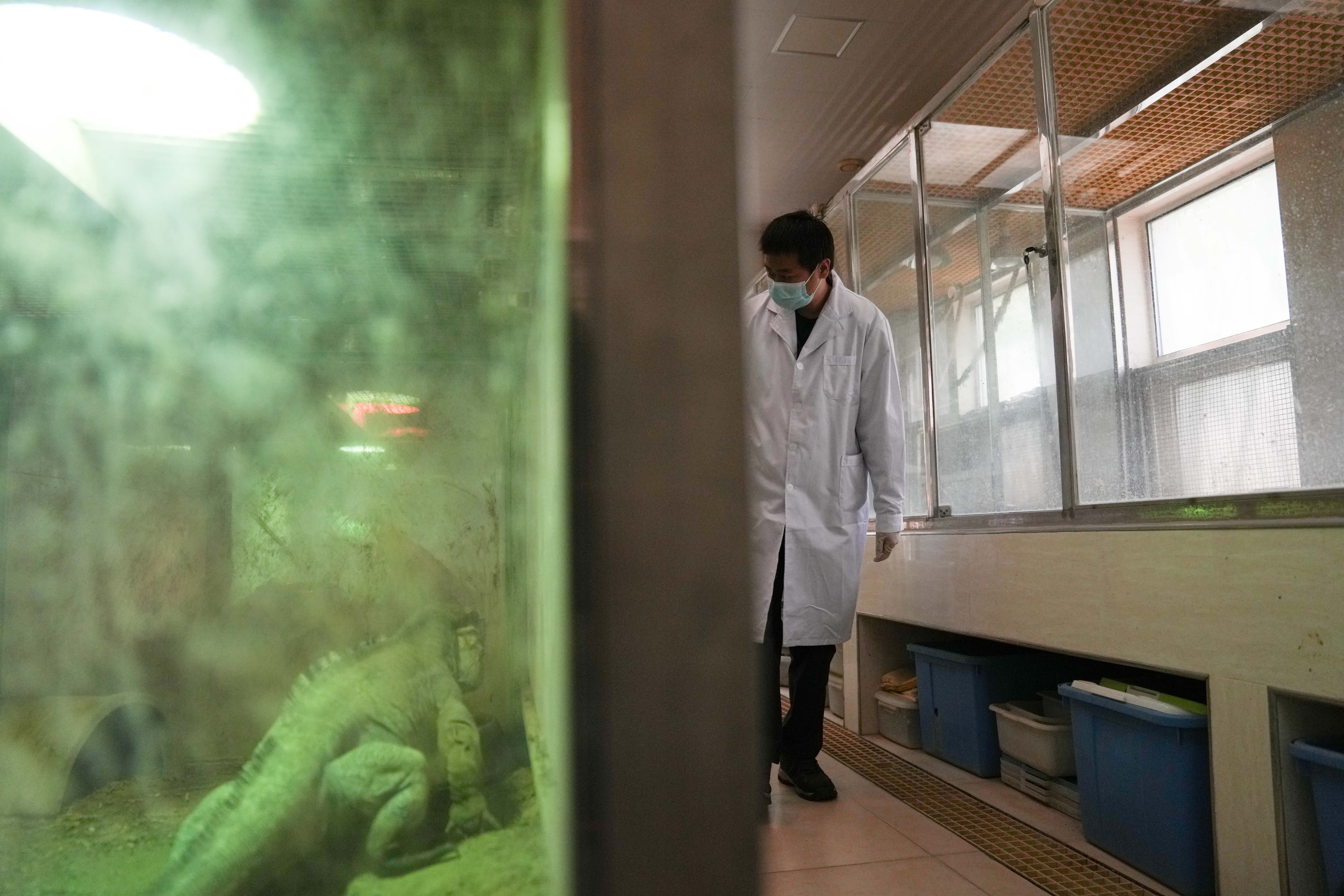 野生动物园医务人员,野生动物救护员