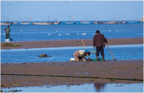 长海县旅游攻略海滩,长海县海岛赶海地点推荐