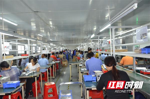 常德市优化营商环境十五条,常德市优化营商环境具体内容