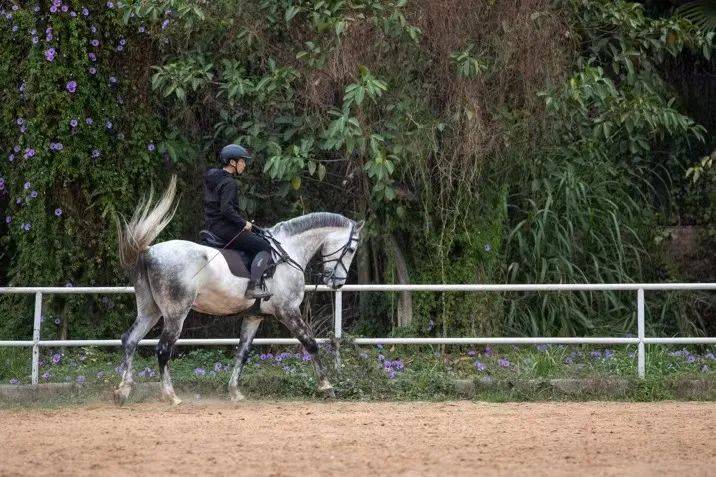国家体育总局最新通知提及即开型体育彩票，速度赛马或迎来春天？